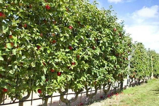 Qui connaît un bon endroit où on peut cueillir nous même nos fruits et légumes avec les enfants sur Bordeaux ou aux alentours ? Merci !