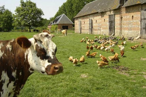 Qui connaît une ferme sympa pour voir des animaux et se changer les idées le week-end ?