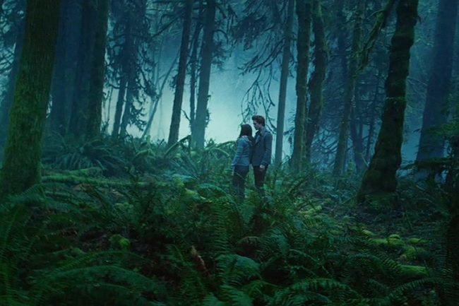 Qui connaît un bon bouquin dont l'univers rappelle un peu celui de Twilight ?