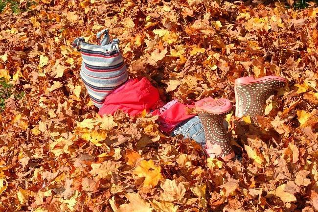 Qui connaît un bon endroit à maximum 1h de route pour se promener et profiter des jolies couleurs de l'automne ?