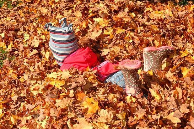 Qui connaît un bon endroit à maximum 1h de route pour se promener et profiter des jolies couleurs de l'automne ?