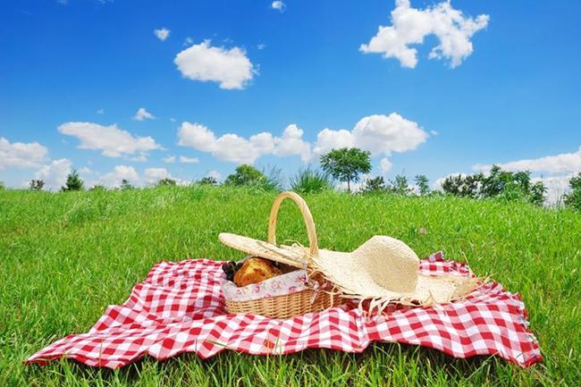 Un coin de verdure agréable pour faire un pique-nique ce vendredi après-midi ? On annonce 34°...