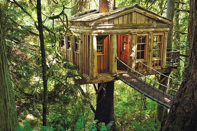 Qui connaît un bel endroit dépaysant en France pour passer une nuit insolite dans une cabane dans les arbres ? C'est un cadeau pour un éternel enfant !