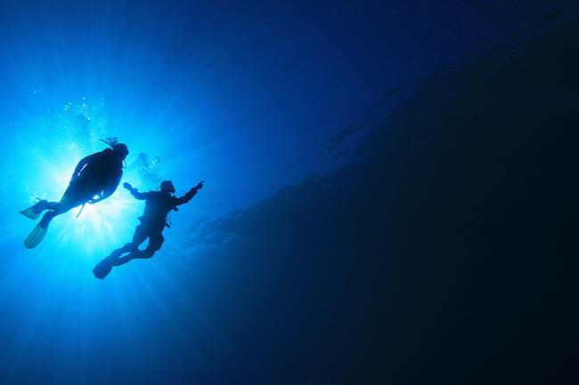 Qui connaît un bon centre de plongée à Marseille ou les alentours ? Je me jette à l'eau ! :)