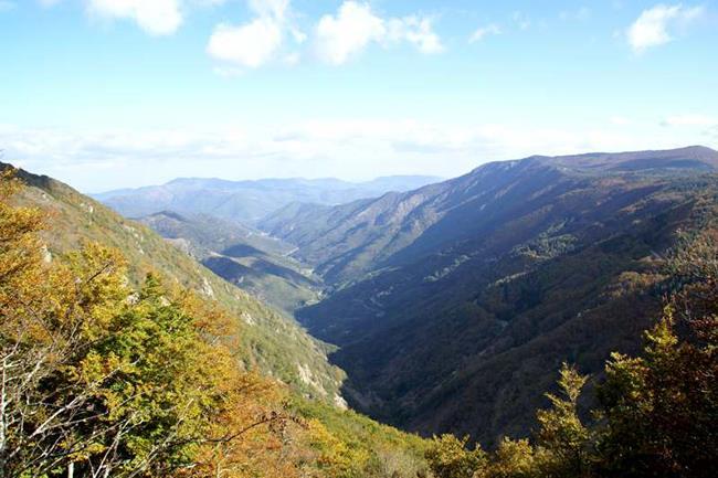Qui connaît de beaux panoramas accessibles en voiture près de Montpellier ? :)