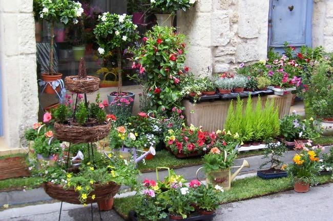 Je cherche LE plus beau magasin de fleurs de Nancy, des idées ?