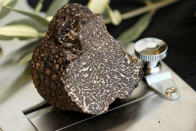 Qui connaît un bon revendeur de truffe noire ? C'est pour mettre dans mon foie gras pour les fêtes !