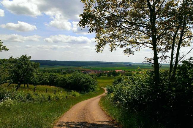 Qui connaît un village à maximum 45 minutes en voiture de Nancy où vivre avec deux enfants ? Nous aimerions nous éloigner du centre ville et être un peu plus proche de la nature...