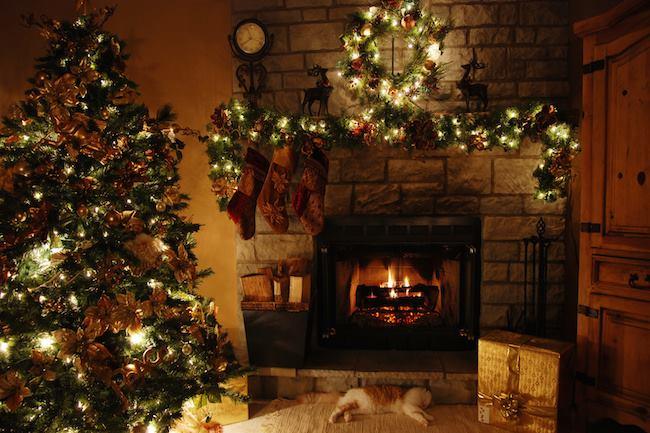 Qui sait où je peux acheter le plus beau des sapins de Noël ? Ce sera le premier Noël de ma fille alors c'est important ! :-)
