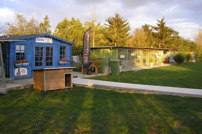 Je suis à la recherche d'un chenil, d'une pension voir une personne responsable qui peut garder mes animaux domestiques pendant mon absence. Vous avez des bons plans à ce sujet ?