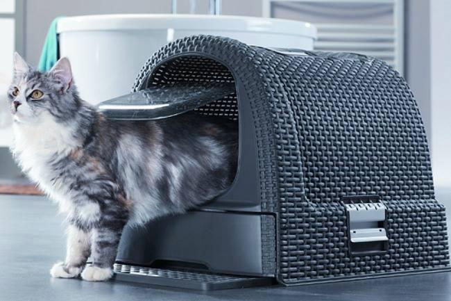 Qui connaît un endroit où l'on vend des litières fermées ? Comme sur la photo ou en plastique, peu importe, pourvu qu'il ait son intimité et que ça m'épargne l'odorat ! ;-)