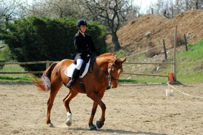 Qui connait un bon club équestre ?