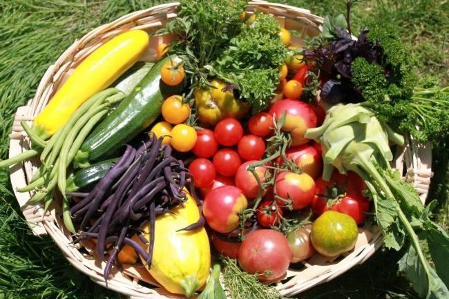 Qui connaît un endroit avec une démarche vraiment EQUITABLE où acheter des oeufs de ferme, des légumes, du fromage et de la viande fermière ? S'il livre, c'est encore mieux !
