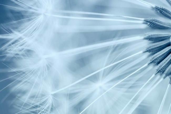 Qui connaît un bon allergologue à Nice, compétent ET à l'écoute ?