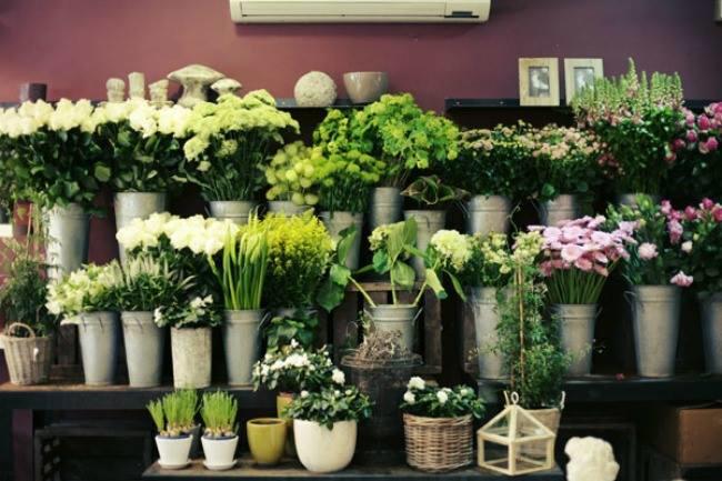 Je cherche un bon fleuriste à Reims. De bonnes adresses ?