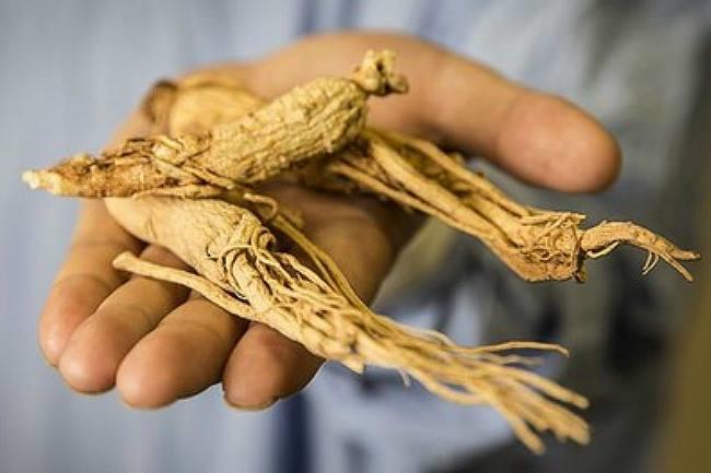 Qui connaît un endroit où l'on peut trouver du Ginseng de qualité à Reims ?