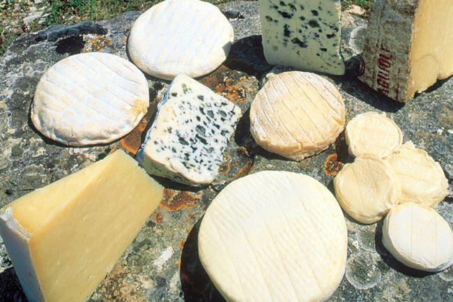 Qui sait où je peux trouver de bons fromages ? Dans mes rêves, je pourrais en acheter plein de différents sans que ça me coûte plus de 50€.
