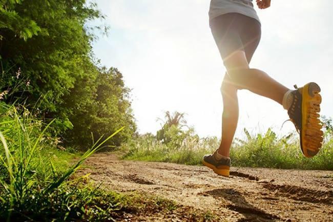 Qui connaît un bon endroit pour aller courir à Rennes mais... A L'OMBRE ?