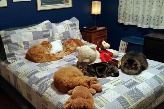 Qui connaît LE magasin dans lequel se rendre pour acheter un excellent matelas de bonne qualité ? Et si vous avez des conseils sur les modèles à choisir et à éviter, je suis preneur !