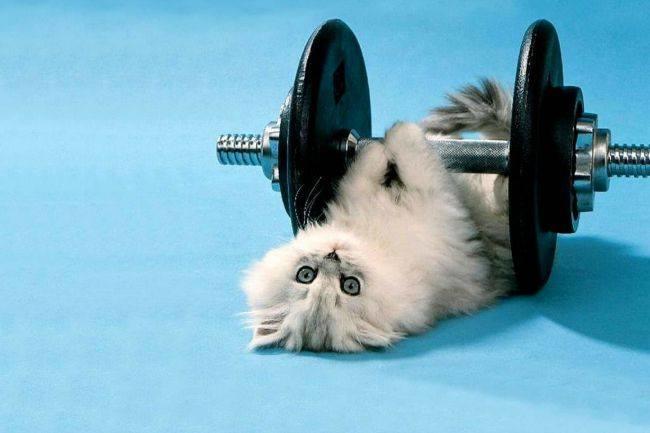 Qui connaît une salle de sport 100% femmes ?