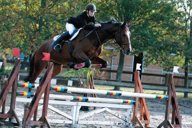 Un centre équestre familial, avec une BONNE ambiance à me conseiller ?