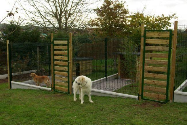 Qui connaît une bonne pension pour chiens ?