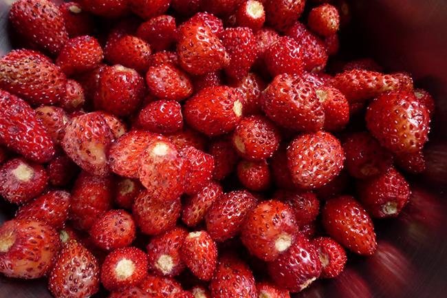 Où acheter de délicieuses fraises des bois ?