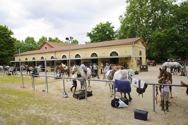 Qui connaît un centre équestre familial, avec une bonne ambiance, pour une reprise en douceur ?