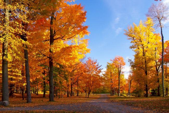 Qui connaît un bon endroit à maximum 1h de route pour se promener et profiter des jolies couleurs de l'automne ?