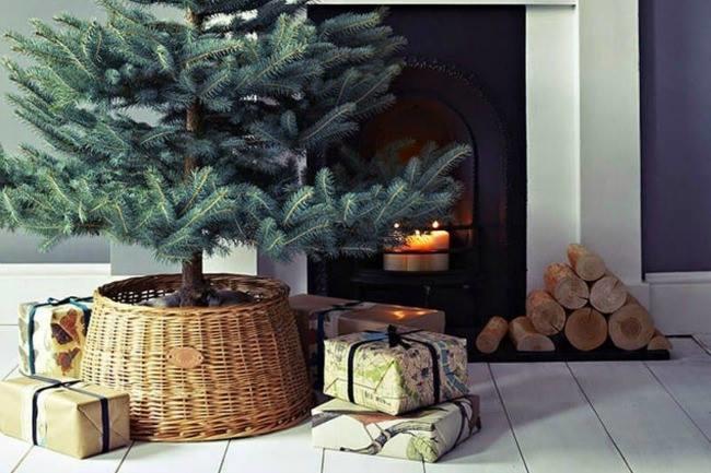 Qui connaît un endroit qui vend des beaux sapins de différentes tailles ? J'hésite encore entre un artificiel et un naturel...