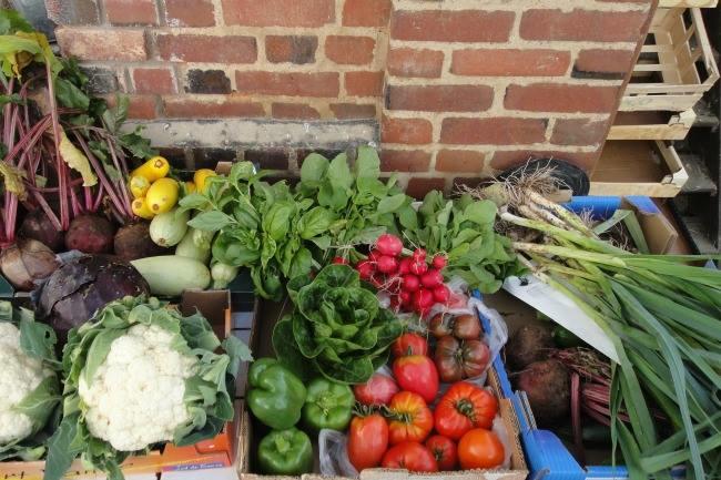 Qui conna&#xEE;t une coop&#xE9;rative agricole ou une ferme o&#xF9; je peux acheter des bons produits frais ?