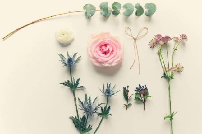 Je vais être de passage demain pour aller fleurir la tombe de ma mamie et j'aimerais savoir quel est pour vous le meilleur fleuriste de Valenciennes ? C'était une femme vraiment formidable alors je voudrais trouver des fleurs à sa hauteur :) Merci !